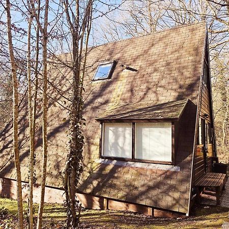Het Hertenbos Chalet 136 - Bos- Groene Oase- Rustmoment- Zwembad デュルビュイ エクステリア 写真