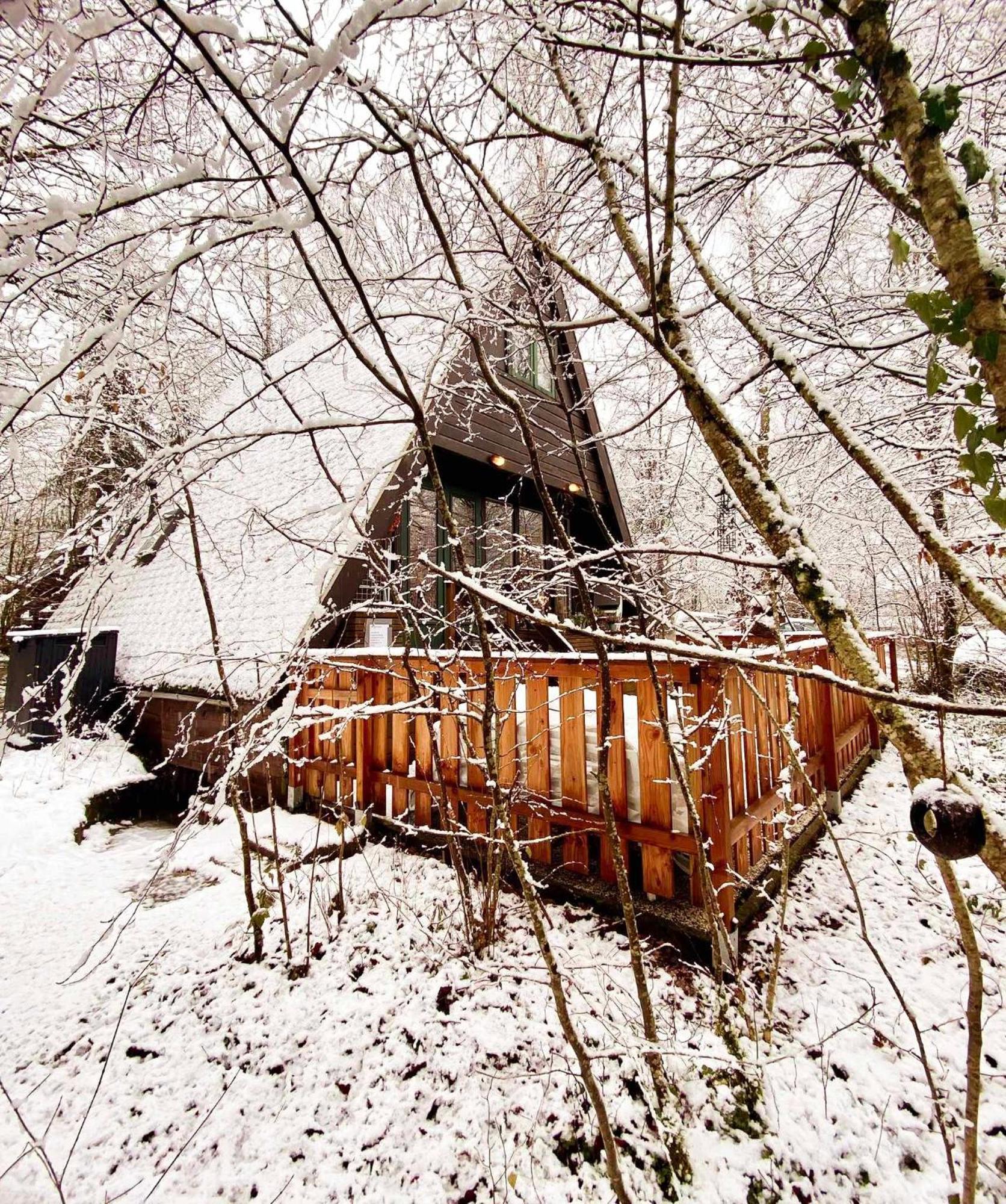 Het Hertenbos Chalet 136 - Bos- Groene Oase- Rustmoment- Zwembad デュルビュイ エクステリア 写真