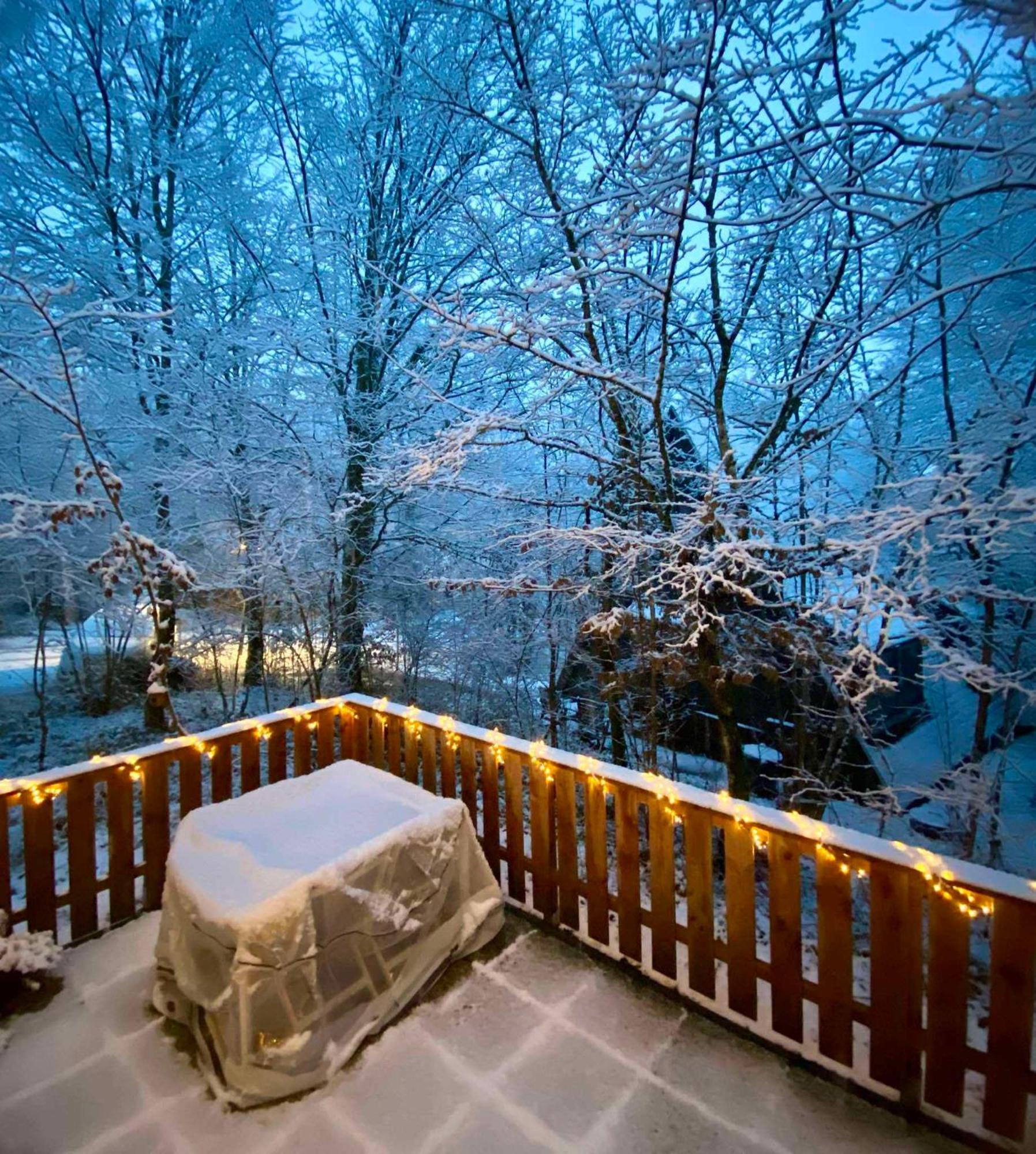 Het Hertenbos Chalet 136 - Bos- Groene Oase- Rustmoment- Zwembad デュルビュイ エクステリア 写真