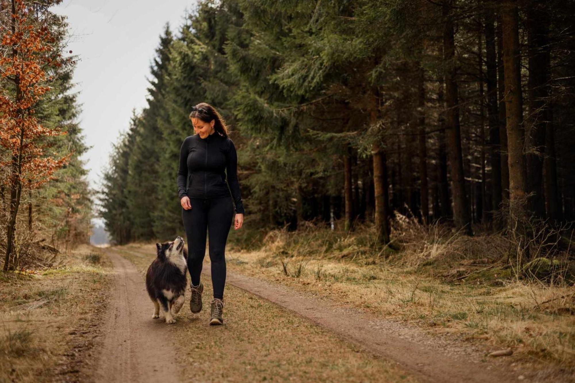 Het Hertenbos Chalet 136 - Bos- Groene Oase- Rustmoment- Zwembad デュルビュイ エクステリア 写真