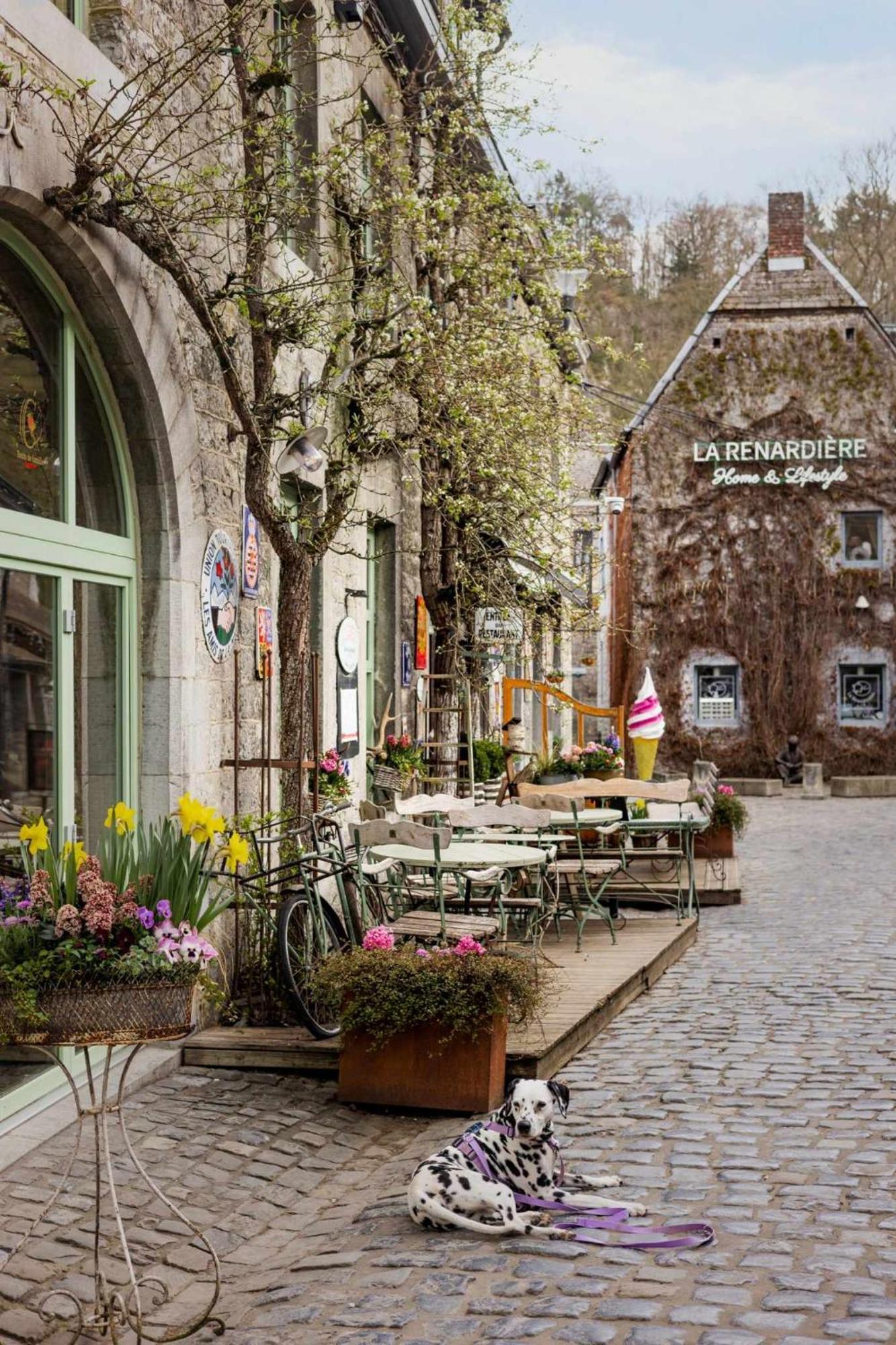Het Hertenbos Chalet 136 - Bos- Groene Oase- Rustmoment- Zwembad デュルビュイ エクステリア 写真