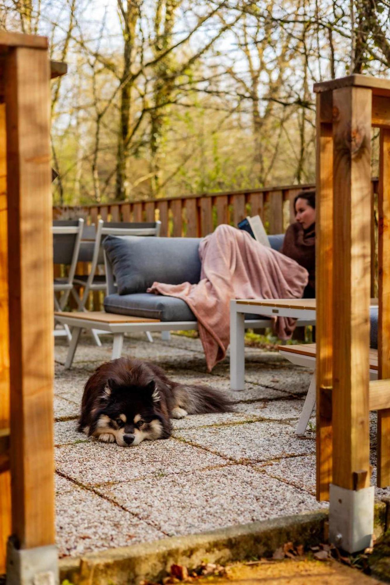Het Hertenbos Chalet 136 - Bos- Groene Oase- Rustmoment- Zwembad デュルビュイ エクステリア 写真