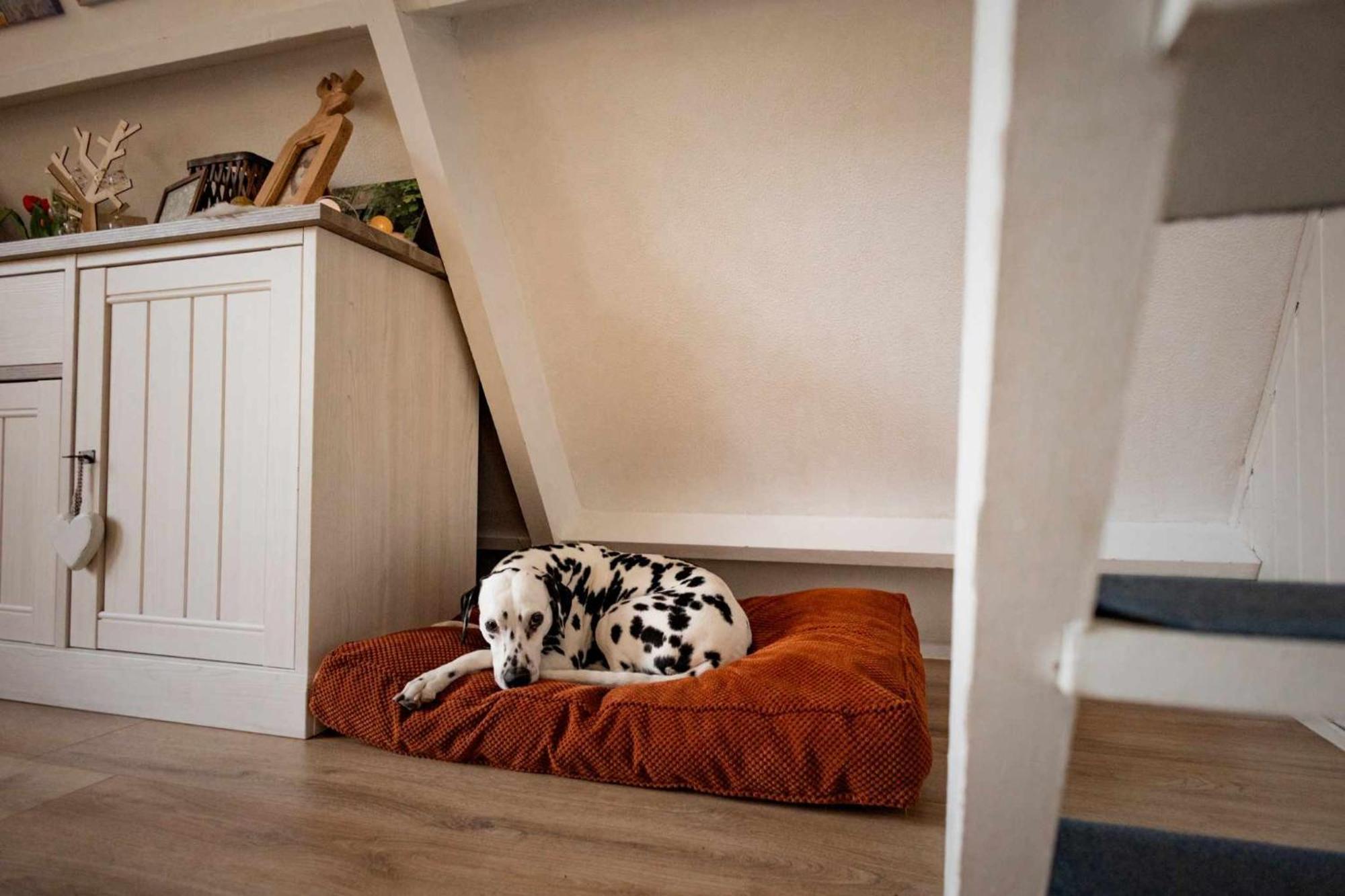 Het Hertenbos Chalet 136 - Bos- Groene Oase- Rustmoment- Zwembad デュルビュイ エクステリア 写真