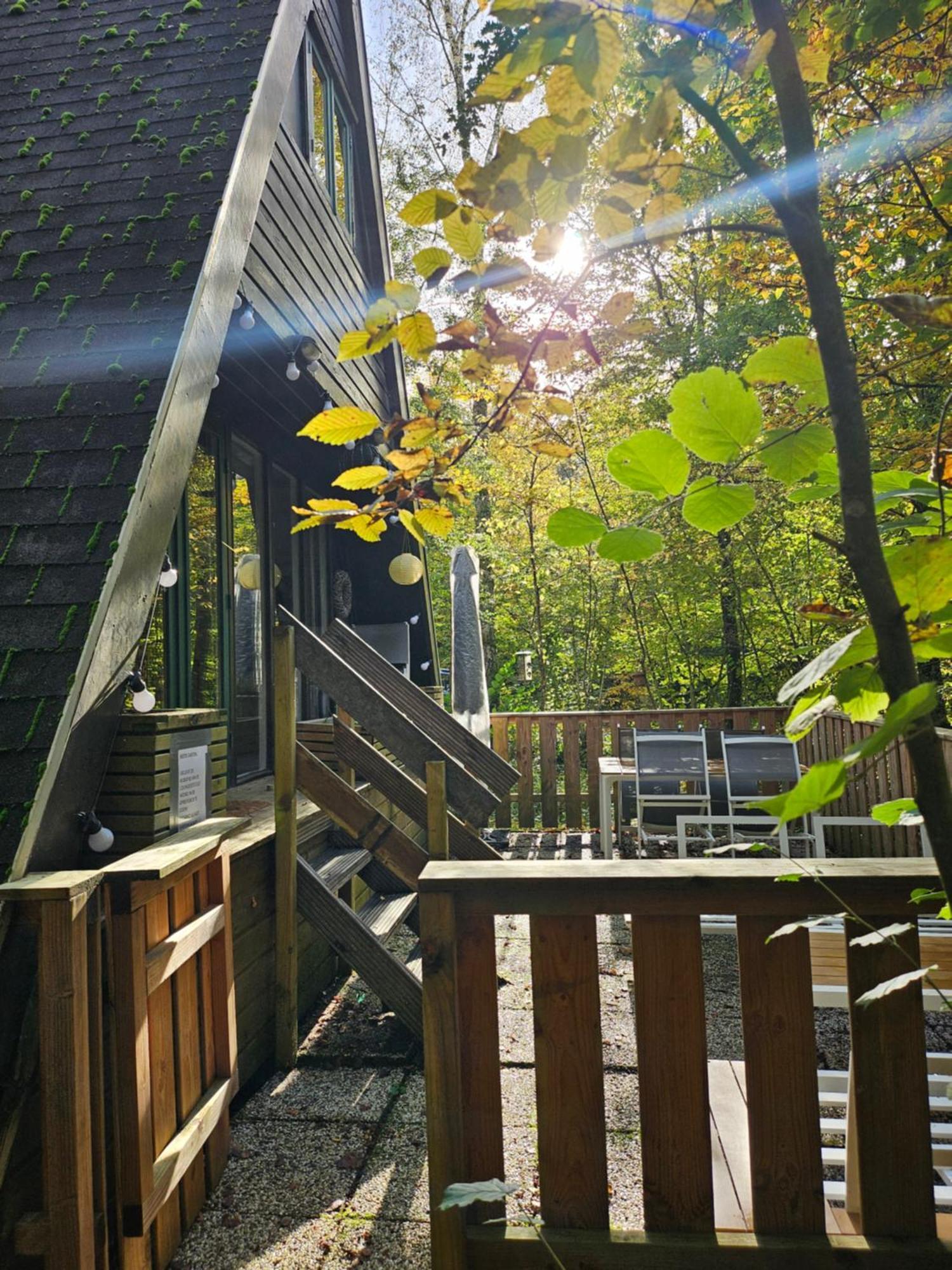 Het Hertenbos Chalet 136 - Bos- Groene Oase- Rustmoment- Zwembad デュルビュイ エクステリア 写真